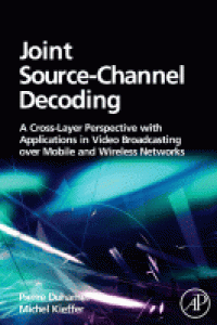 JOINT SOURCE-CHANNEL DECODING
